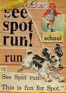 see spot run