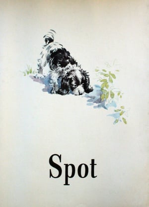 Spot-Dog-Dick-and-Jane-1